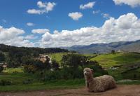 Rundreise Südamerika – die Vielfalt Lateinamerikas entdecken : Peru, Bolivien, Chile, Argentinien, Uruguay, Brasilien