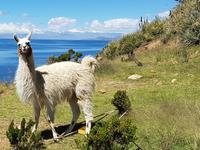 Rundreise Südamerika – die Vielfalt Lateinamerikas entdecken : Peru, Bolivien, Chile, Argentinien, Uruguay, Brasilien