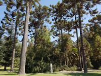 Rundreise Südamerika – die Vielfalt Lateinamerikas entdecken : Peru, Bolivien, Chile, Argentinien, Uruguay, Brasilien