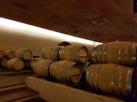 Rundreise Südamerika – die Vielfalt Lateinamerikas entdecken : Peru, Bolivien, Chile, Argentinien, Uruguay, Brasilien