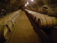 Rundreise Südamerika – die Vielfalt Lateinamerikas entdecken : Peru, Bolivien, Chile, Argentinien, Uruguay, Brasilien