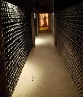 Rundreise Südamerika – die Vielfalt Lateinamerikas entdecken : Peru, Bolivien, Chile, Argentinien, Uruguay, Brasilien