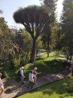 Rundreise Südamerika – die Vielfalt Lateinamerikas entdecken : Peru, Bolivien, Chile, Argentinien, Uruguay, Brasilien