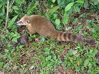 Rundreise Südamerika – die Vielfalt Lateinamerikas entdecken : Peru, Bolivien, Chile, Argentinien, Uruguay, Brasilien