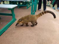 Rundreise Südamerika – die Vielfalt Lateinamerikas entdecken : Peru, Bolivien, Chile, Argentinien, Uruguay, Brasilien