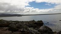 12_Falklandinseln (10)