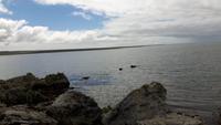 12_Falklandinseln (12)
