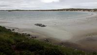 12_Falklandinseln (9)
