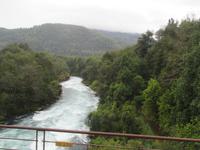 IMG 8958 Huilo Huilo Bioreservat