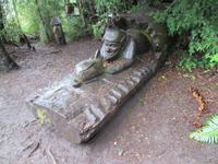 IMG 8961 Huilo Huilo Bioreservat