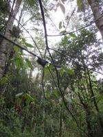 IMG 8972 Huilo Huilo Bioreservat