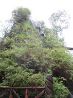 IMG 8988 Hotel Nothofagus