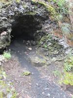 IMG 9018 Huilo Huilo Bioreservat