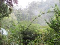 IMG 9021 Huilo Huilo Bioreservat