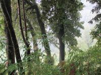 IMG 9023 Huilo Huilo Bioreservat