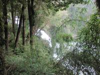 IMG 9024 Huilo Huilo Bioreservat