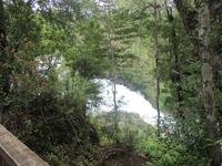 IMG 9026 Huilo Huilo Bioreservat