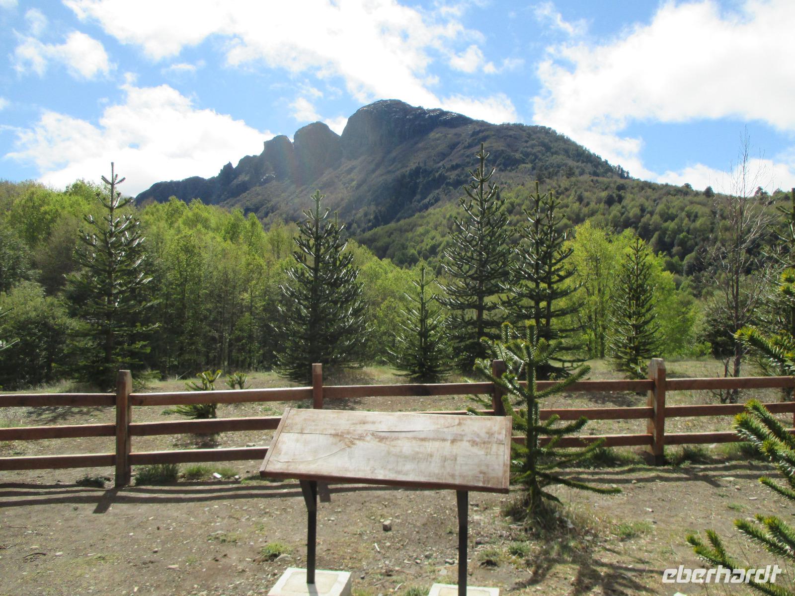 IMG 9088 Trompenpass