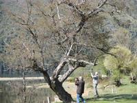 IMG 9136 Fahrt entlang des 7-Seen-Gebiets