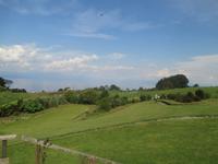 IMG 9190 im Restaurant Vogelscheuche