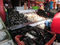 IMG 9241 Puerto Montt