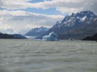 IMG 9346 Torres del Paine