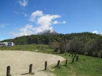 IMG 9400 Nationalpark Tierra del Fuego