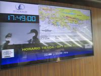 IMG 9455 Stella Australis