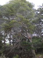 IMG 9516 Wulaia-Bucht