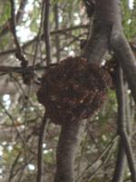 IMG 9520 Wulaia-Bucht