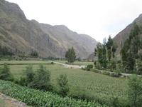 Ollantaytambo (1)