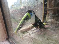 Santuario Animal de Ccochahuasi (7)