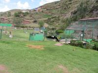 Santuario Animal de Ccochahuasi (18)