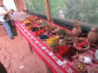 Santuario Animal de Ccochahuasi (23)