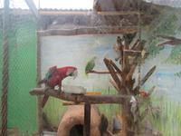 Santuario Animal de Ccochahuasi (28)