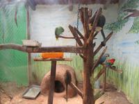 Santuario Animal de Ccochahuasi (29)