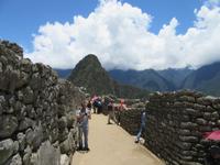 Machu Picchu (16)
