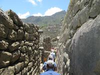 Machu Picchu (24)