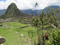 Machu Picchu (30)