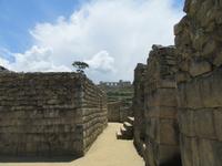 Machu Picchu (44)