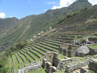 Machu Picchu (48)