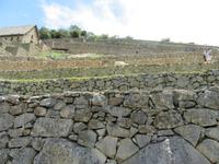 Machu Picchu (49)