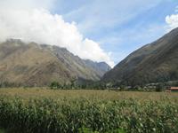 Zugfahrt nach Aguas Calientes (3)
