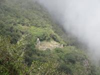 Machu Picchu (19)