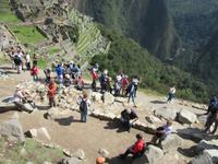 Machu Picchu (22)