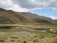 Altiplano (3)