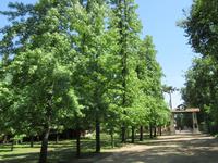 Bodega Concha y Toro (1)