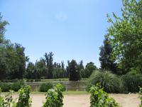 Bodega Concha y Toro (6)