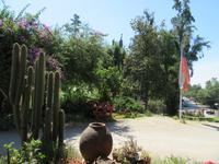 Restaurante Tesoros de Chile (8)