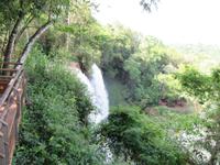 Iguazu (Argentinien) (27)